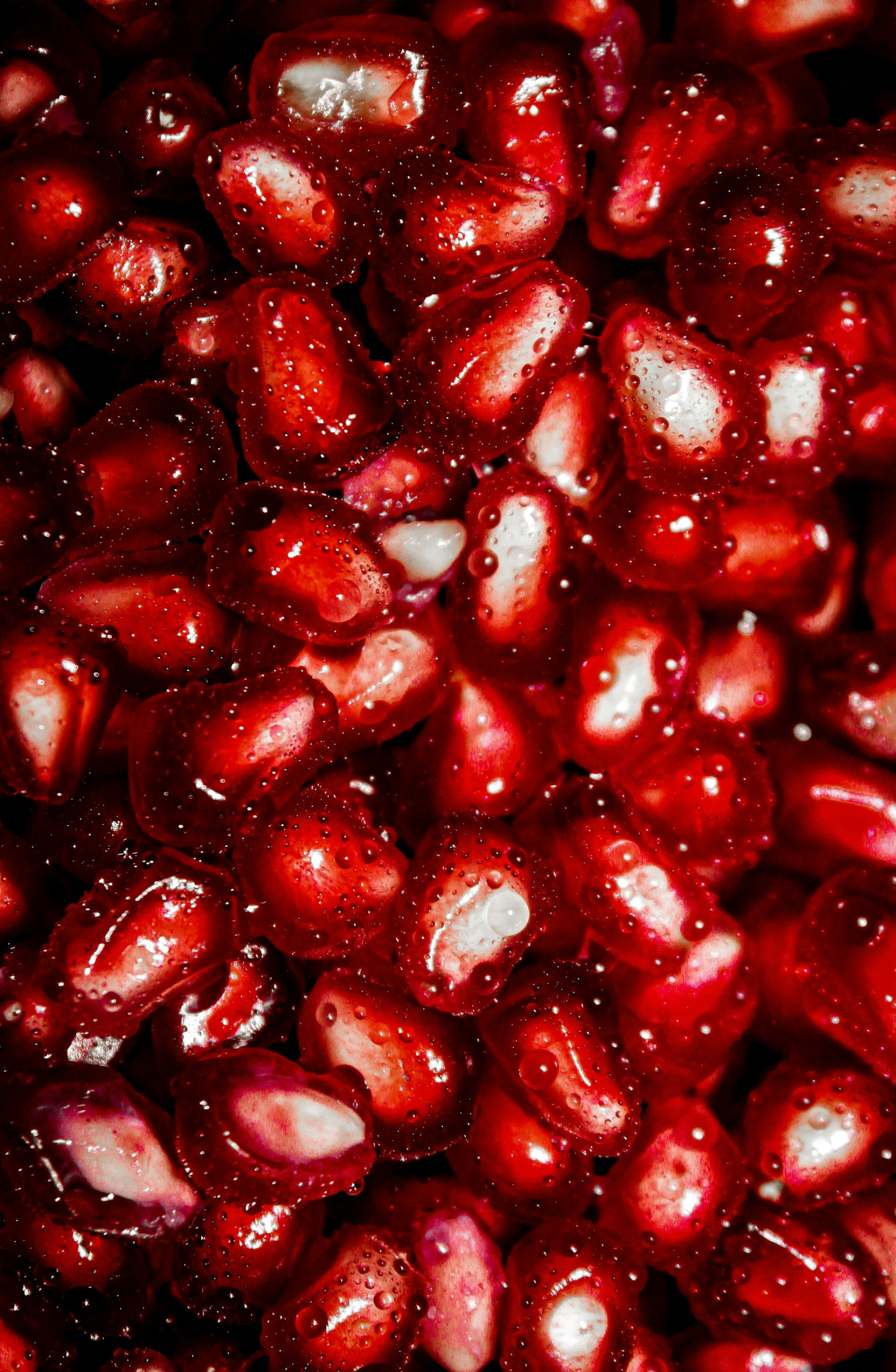 Green, White and Red: The Brief, Glorious Season of Chiles en Nogada